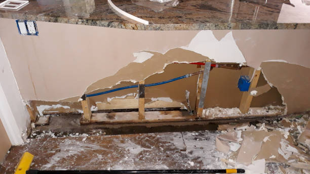 Best Flooded house restoration  in Laurinburg, NC