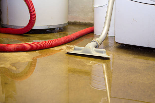 Best Flood restoration services  in Laurinburg, NC