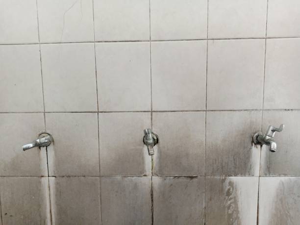 Best Carpet water damage restoration  in Laurinburg, NC