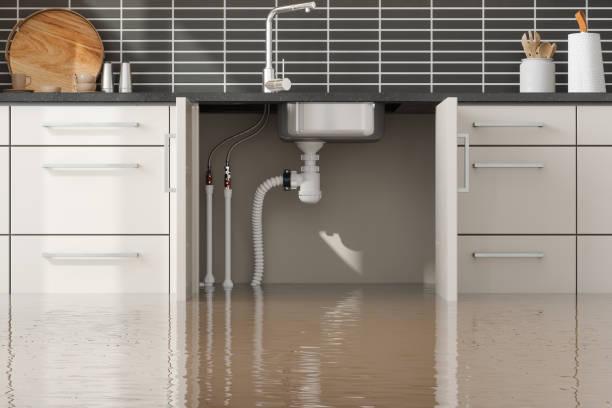 Best Fire Damage Restoration  in Laurinburg, NC