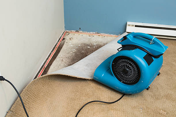Best Ceiling water damage repair  in Laurinburg, NC